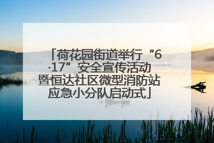 荷花园街道举行“6·17”安全宣传活动暨恒达社区微型消防站应急小分队启动式