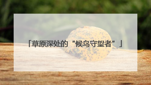 草原深处的“候鸟守望者”