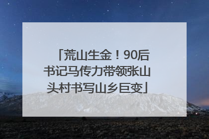 荒山生金！90后书记马传力带领张山头村书写山乡巨变
