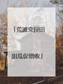荒滩变良田 甜瓜促增收