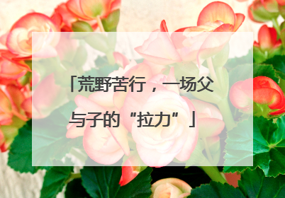 荒野苦行，一场父与子的“拉力”