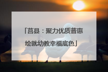 莒县：聚力优质普惠 绘就幼教幸福底色