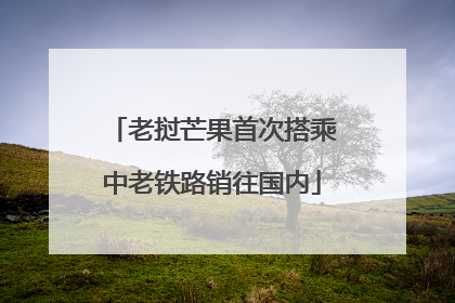 老挝芒果首次搭乘中老铁路销往国内