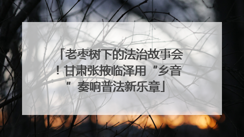 老枣树下的法治故事会！甘肃张掖临泽用“乡音”奏响普法新乐章