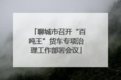 聊城市召开“百吨王”货车专项治理工作部署会议