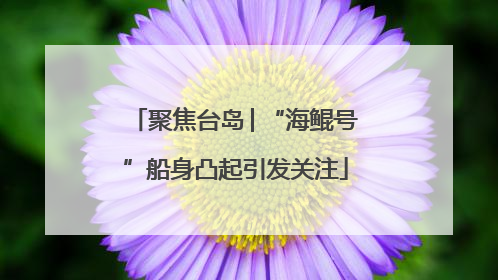 聚焦台岛│“海鲲号”船身凸起引发关注