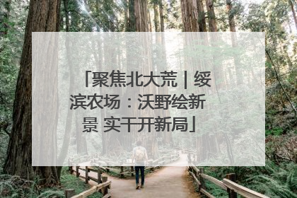 聚焦北大荒｜绥滨农场：沃野绘新景 实干开新局