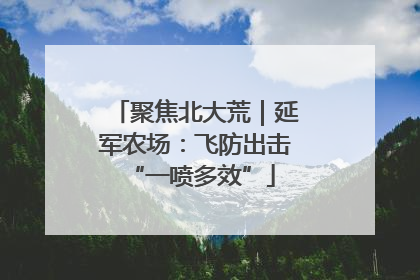 聚焦北大荒｜延军农场：飞防出击 “一喷多效”
