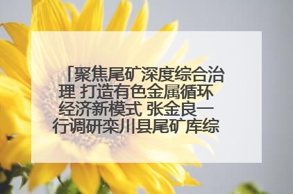 聚焦尾矿深度综合治理 打造有色金属循环经济新模式 张金良一行调研栾川县尾矿库综合治理工作