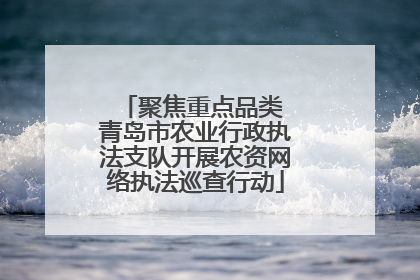 聚焦重点品类 青岛市农业行政执法支队开展农资网络执法巡查行动