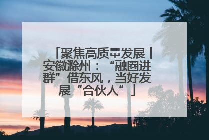 聚焦高质量发展丨安徽滁州：“融圈进群”借东风，当好发展“合伙人”