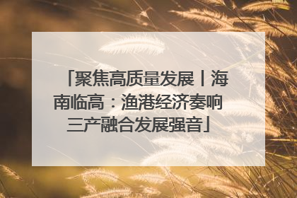聚焦高质量发展丨海南临高：渔港经济奏响三产融合发展强音