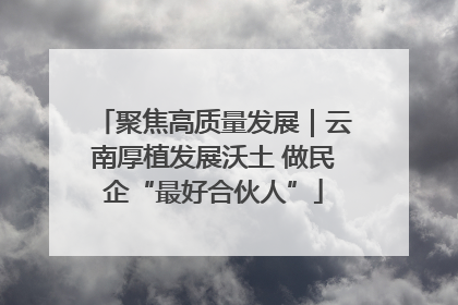 聚焦高质量发展｜云南厚植发展沃土 做民企“最好合伙人”