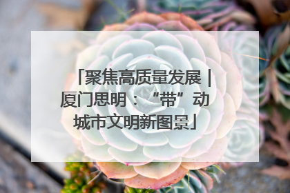 聚焦高质量发展｜厦门思明：“带”动城市文明新图景