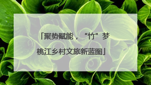 聚势赋能，“竹”梦桃江乡村文旅新蓝图