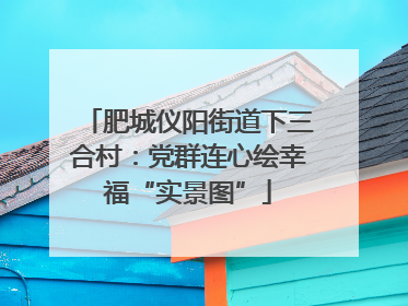 肥城仪阳街道下三合村：党群连心绘幸福“实景图”
