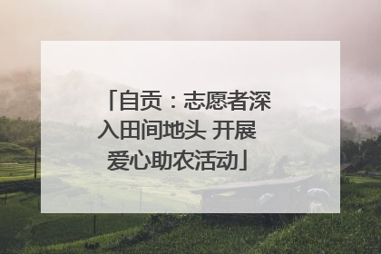 自贡：志愿者深入田间地头 开展爱心助农活动