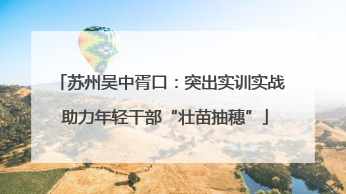 苏州吴中胥口：突出实训实战 助力年轻干部“壮苗抽穗”
