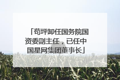 苟坪卸任国务院国资委副主任，已任中国星网集团董事长