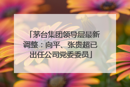 茅台集团领导层最新调整：向平、张贵超已出任公司党委委员