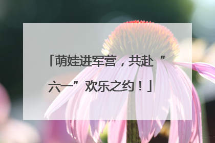 萌娃进军营，共赴“六一”欢乐之约！