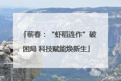 蕲春：“虾稻连作”破困局 科技赋能焕新生