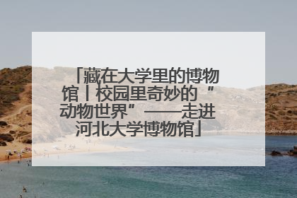 藏在大学里的博物馆丨校园里奇妙的“动物世界”——走进河北大学博物馆