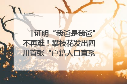 证明“我爸是我爸”不再难！攀枝花发出四川首张“户籍人口直系亲属关系谱”