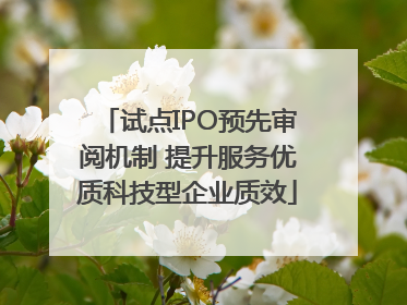 试点IPO预先审阅机制 提升服务优质科技型企业质效