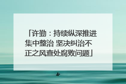 许勤：持续纵深推进集中整治 坚决纠治不正之风查处腐败问题