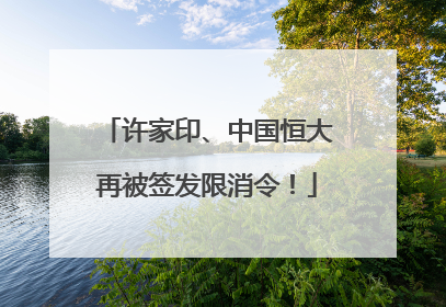 许家印、中国恒大再被签发限消令！