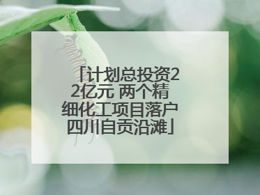 计划总投资22亿元 两个精细化工项目落户四川自贡沿滩