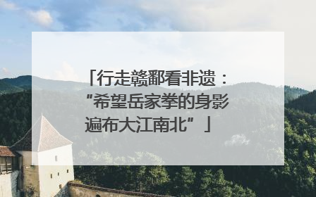 行走赣鄱看非遗：“希望岳家拳的身影遍布大江南北”