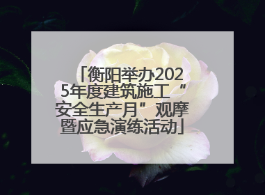 衡阳举办2025年度建筑施工“安全生产月”观摩暨应急演练活动
