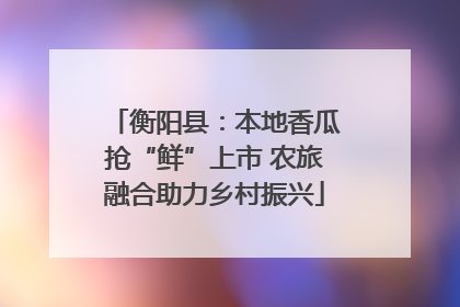 衡阳县：本地香瓜抢“鲜”上市 农旅融合助力乡村振兴