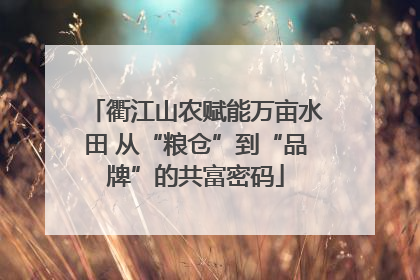 衢江山农赋能万亩水田 从“粮仓”到“品牌”的共富密码