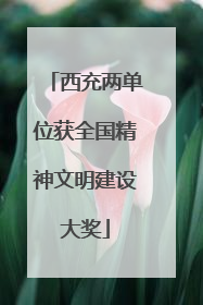 西充两单位获全国精神文明建设大奖