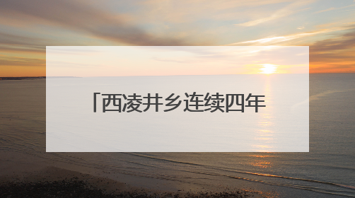 西凌井乡连续四年举办经验交流会