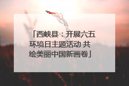西峡县：开展六五环境日主题活动 共绘美丽中国新画卷