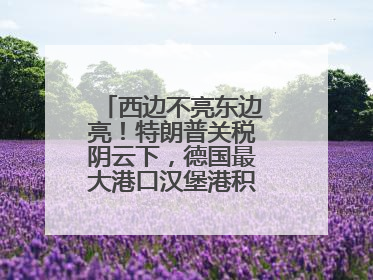 西边不亮东边亮！特朗普关税阴云下，德国最大港口汉堡港积极“向东看”
