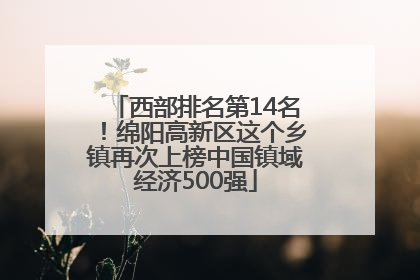 西部排名第14名！绵阳高新区这个乡镇再次上榜中国镇域经济500强