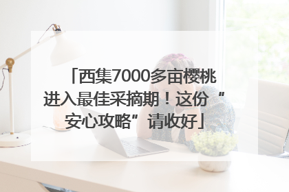 西集7000多亩樱桃进入最佳采摘期！这份“安心攻略”请收好