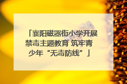 襄阳磁器街小学开展禁毒主题教育 筑牢青少年“无毒防线”