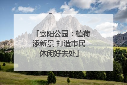 襄阳公园：植荷添新景 打造市民休闲好去处