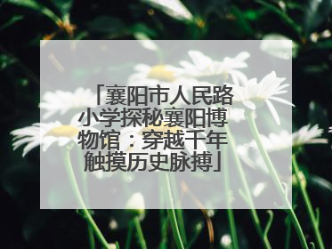 襄阳市人民路小学探秘襄阳博物馆：穿越千年触摸历史脉搏