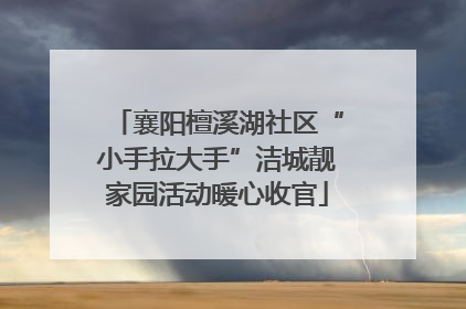 襄阳檀溪湖社区“小手拉大手”洁城靓家园活动暖心收官