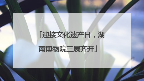 迎接文化遗产日，湖南博物院三展齐开