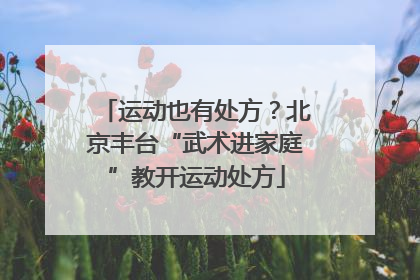 运动也有处方？北京丰台“武术进家庭”教开运动处方