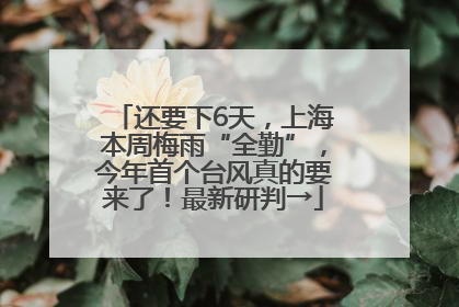还要下6天，上海本周梅雨“全勤”，今年首个台风真的要来了！最新研判→