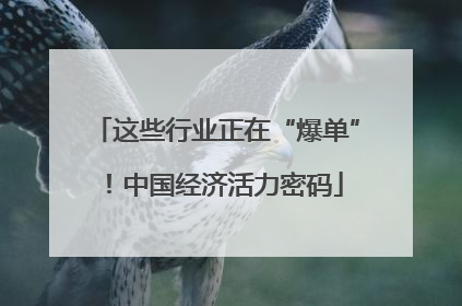 这些行业正在“爆单”！中国经济活力密码